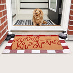Tinideya 2 Pcs Door Mat Welcome Non Slip Coir Mats Floor Layering Doormats - Image 4