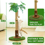 Cat Scratching Post for Indoor Cats and Kitten - Image 6