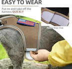 PUPTECK Soft Mesh Cat Vest Harness and Leash Set Puppy Padded Pet Harnesses - Image 5
