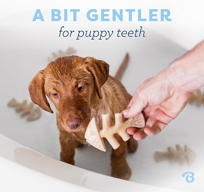 Benebone Puppy Fishbone Dog Chew Toys, Softer - Image 2