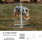 Better Sporting Dogs Complete Starter Agility Set - Image 5