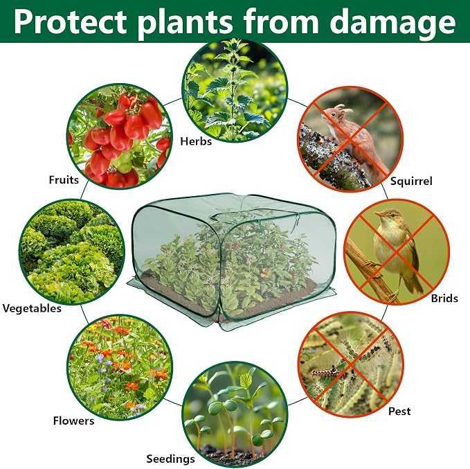 2 Pcs Pop Up Mesh Plant Cover, Garden Net Cage Guard Cover - Image 4