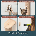 Cat Climbing Wall System – Modern Floating Shelves & Perches - Image 7