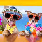 Weewooday 15 Pieces Sublimation Heat Transfer Dog Bandana Triangle Dog Scarf - Image 3