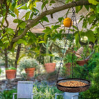 Hanging Bird Feeder & Tray&Metal Mesh Platform & Feeder Hanging - Image 6