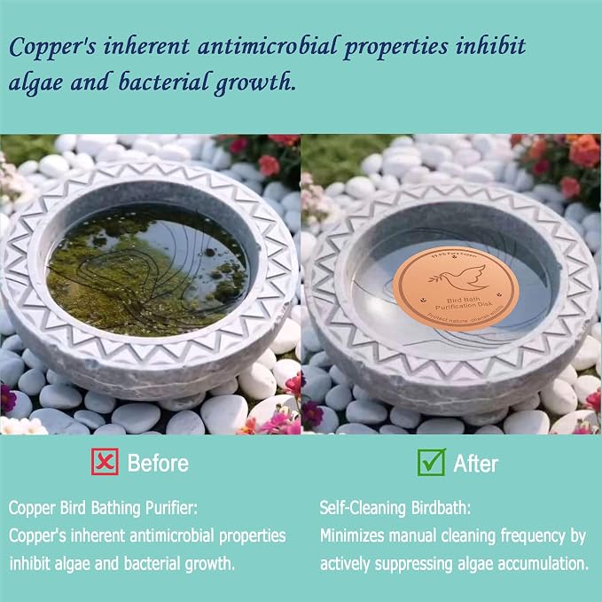 1Pack Bird Bath Copper Purification Disk | 0.6mm Reinforced 99.9% Pure Copper | - Image 4
