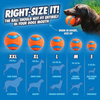 Chuckit! Ultra Ball Dog Toy - Image 3