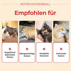 JAYU PET Red Cat Ball - Image 3