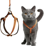 Filbert Cat Harness and Leash Set by Filbert