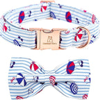 Lionheart glory Dog Collar by LionheartGlory