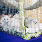 Jetec 2 Pack Cat Hammock for Cage, Catio Accessories Reversible Soft Cats Bed - Image 5