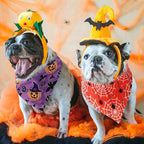 Sanwuta 48 Pcs Halloween Dog Bandanas Bulk Pumpkin Dog Bandanas Adjustable - Image 6
