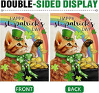Dyrenson Happy St Patricks Day Orange Cat Decorative Garden Flag, Pet Rainbow - Image 3