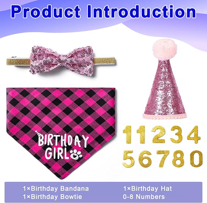 Dog Birthday Party Supplies Decorations - Image 2