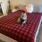 Kritter Planet Waterproof Dog Blanket, Reversible Water Proof Pet Blanket - Image 4