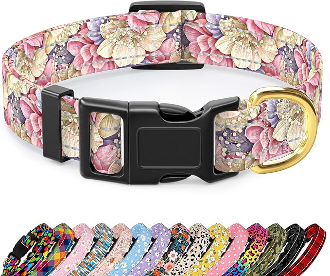Reflective Dog Collar for Medium Dogs, Cute Flower Theme Adjustable Heavy-Duty by TMOODEL