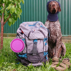 Loving Pets Bella Roma Collapsible Dog Bowls - Image 7
