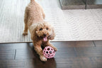 JW Pet HOL-ee Roller™, Dog Toy Puzzle Ball, Natural Rubber - Image 7