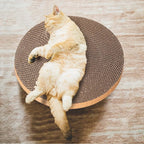Round cat Scratcher Refill, 10 inch Diameter, 7/8 inch Thickness Scratcher - Image 6