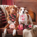 ADOGGYGO Floral Dog Bandana 2 Pack, Reversible Red Pink Rose Puppy Scarf Bib - Image 2