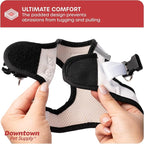 Downtown Pet Supply Step in Dog Harness - Image 7