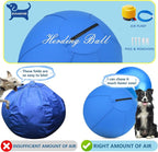 Herding Ball for Dogs and Horses - Image 5