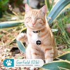 Ultra Joys Dog Tags Personalized - Image 4