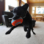 Chuckit! Indoor Fetch Roller Toy - Image 7