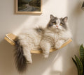 Wood Cat Wall Bed with Sisal Mat – Curved Cats Shelf by PELUOMOZ