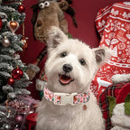 DOGWONG Christmas Dog Collar - Image 5