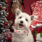 DOGWONG Christmas Dog Collar - Image 5