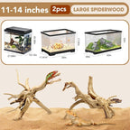 Jorewood Natural Large Spiderwood Driftwood - Image 2