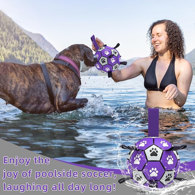 QDAN Soccer Ball for Dogs - Image 7