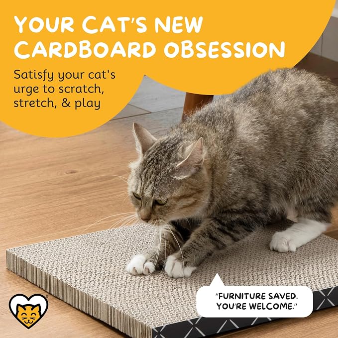 Hide & Scratch Cat Scratcher Pad – 4 Pack | Double-Sided Cardboard Refills - Image 2