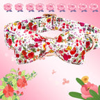 Elegant little tail Dog Collar - Image 4