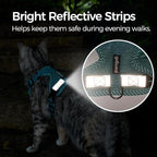 Cat Harness and Leash Escape Proof Extra Large Kitten Harness Maine Coon Cat - Image 6