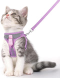 Cat Harness and Leash Set for Walking Escape Proof, Soft Adjustable Kitten by NCMAMA