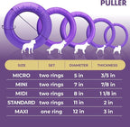 COLLAR Puller Outdoor Ring Toy - Image 6