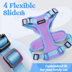 rabbitgoo Cat Harness and Leash Set, Escape Proof Soft Adjustable Vest Harnesses - Image 3