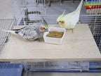 15.7×10.4 Inches Large Bird Perch Stand Platform, Natural Wooden Small Animals - Image 3