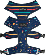 Lucy & Co. Cute Reversible Dog Harness Walking Halter by LucyCo