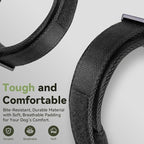 2025 Upgrade Waterproof AirTag Dog Collar, Military Tactical Dog Collar - Image 5
