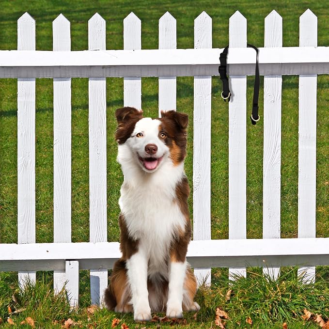 PetSafe KeepSafe Collar for Dogs - Image 2