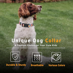 Dog Collar, Cute Cartoon Fruit Boys Girls Puppy Collar - Image 5