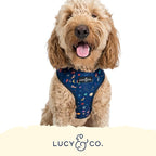 Lucy & Co. Space Doodle, Cute Reversible Dog Harness Walking Halter - Image 5