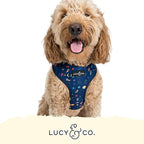 Lucy & Co. Space Doodle, Cute Reversible Dog Harness Walking Halter - Image 5