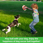 QDAN Dog Soccer Ball Football Basketball Set - Image 4