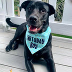 Birthday Boy Dog Bandanas 1 Pack, HBD Pet Scarves - Image 4