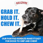 Bullibone Nylon Dog Chew Toy for Aggressive Chewers - Image 4
