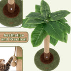 Cat Scratching Post for Indoor Cats and Kitten - Image 4